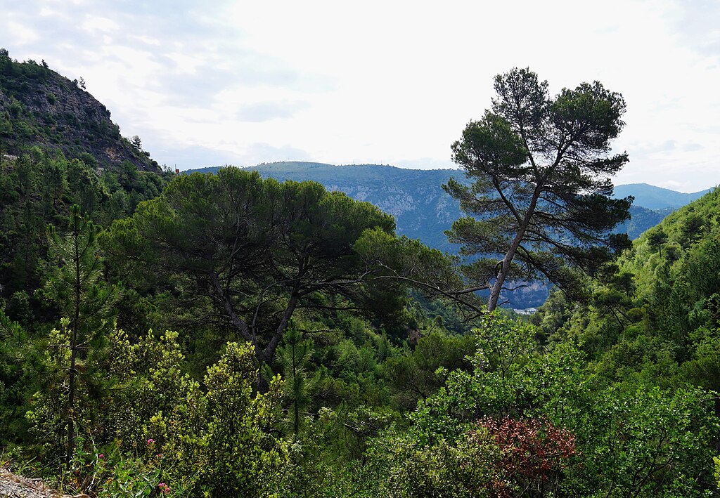 Pompe à chaleur air/air Alpes-Maritimes