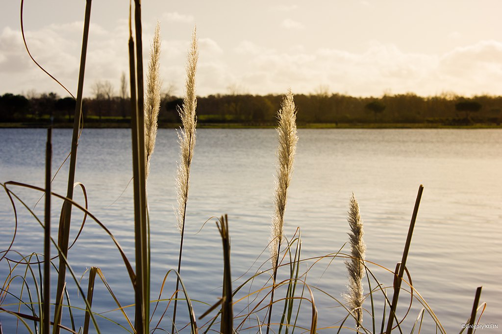 Pompe à chaleur air/air Tournefeuille