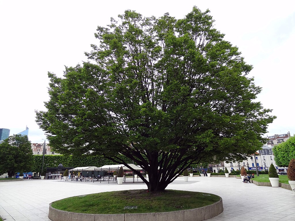 Pompe à chaleur air/air Puteaux