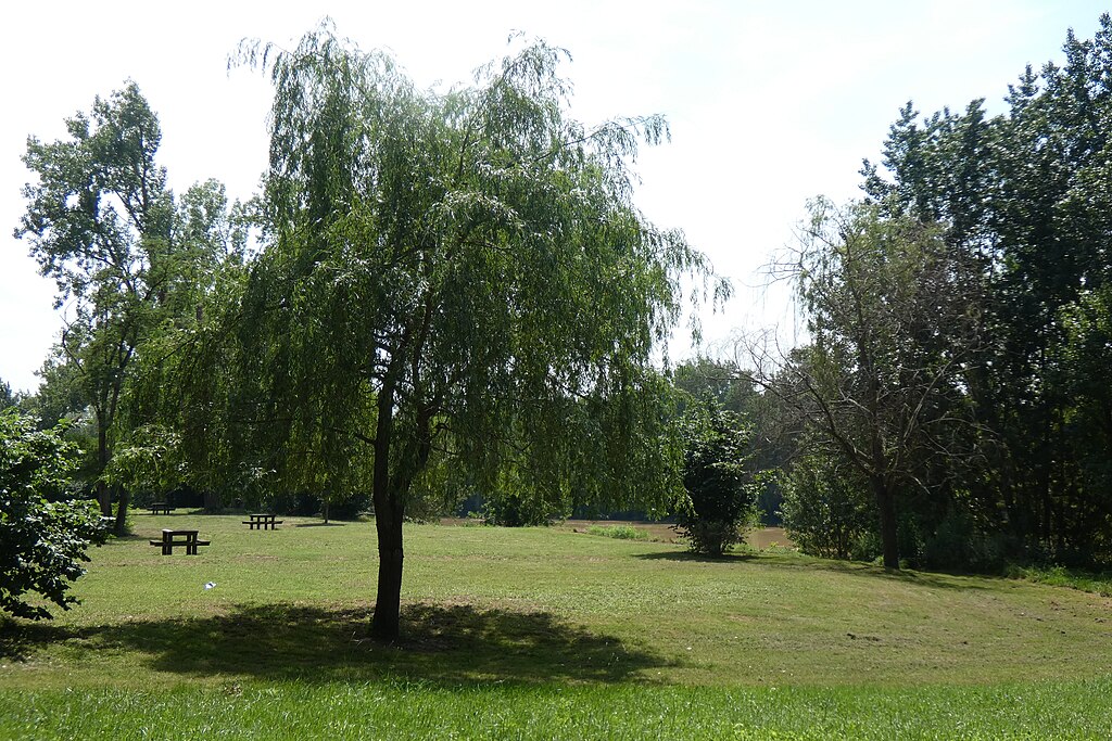 Pompe à chaleur air/air Marmande